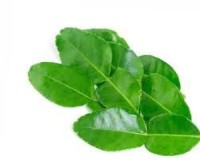 Kaffir lime leaf