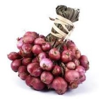 Shallot